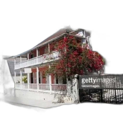 building, furniture, tree, shoes transparent PNG cut-out