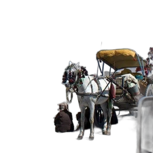 robot, car, animal, staff transparent PNG cut-out