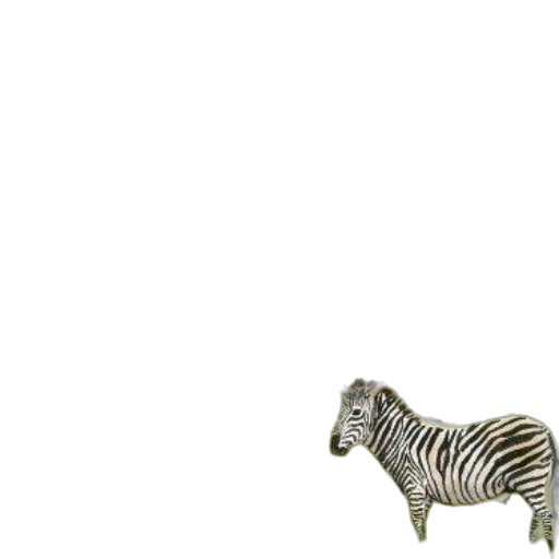animal, creature, furniture, jewelry transparent PNG cut-out