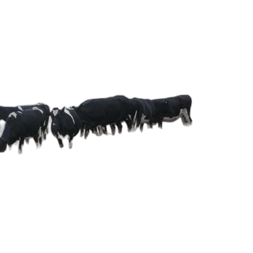 staff, hair, crown, jewelry transparent PNG cut-out