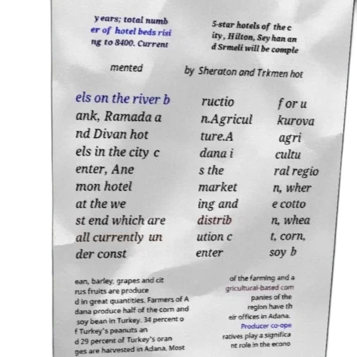 food, text-based, image, discussing transparent PNG cut-out