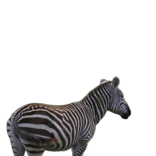 animal, creature, staff, furniture transparent PNG cut-out