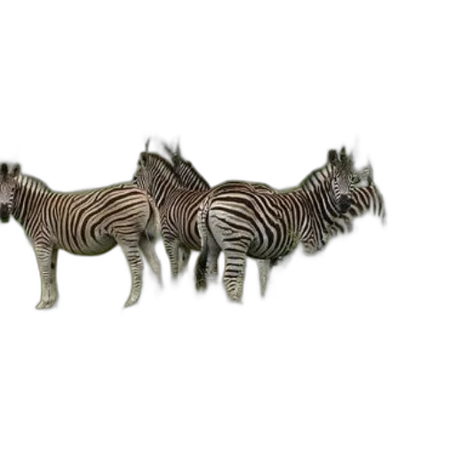 animal, creature, jewelry, furniture transparent PNG cut-out