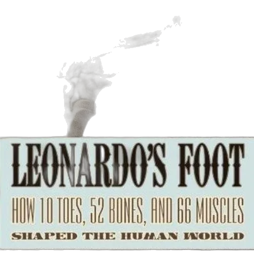 shoes, leonardo, foot, how transparent PNG cut-out
