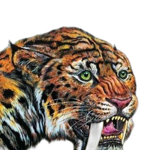 animal, jewelry, creature, face transparent PNG cut-out