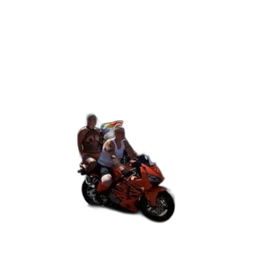 car, jacket, weapon, animal transparent PNG cut-out