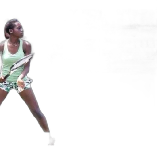 staff, pastel, female, tennis transparent PNG cut-out