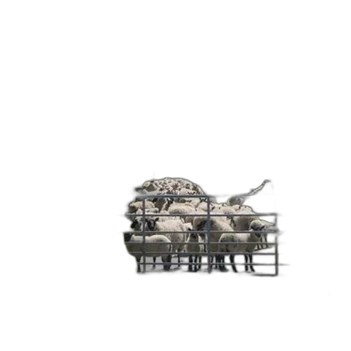 furniture, animal, robot, car transparent PNG cut-out