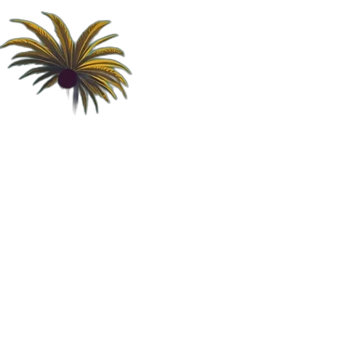 crown, hair, flower, hat transparent PNG cut-out