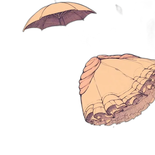 umbrella, food, shoes, hat transparent PNG cut-out