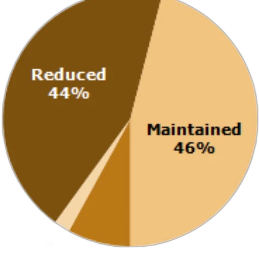 earth tones, dark, pie, chart transparent PNG cut-out