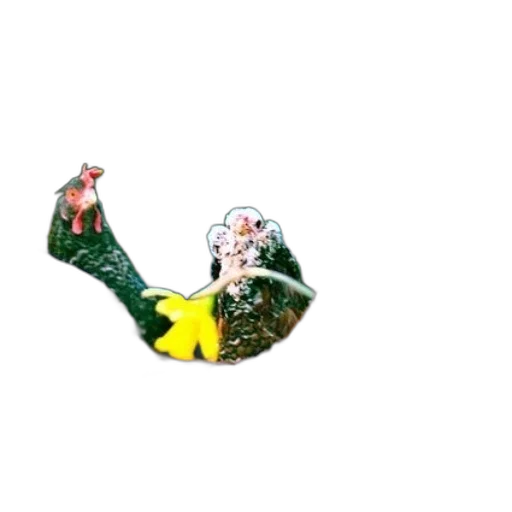shoes, crown, jewelry, staff transparent PNG cut-out