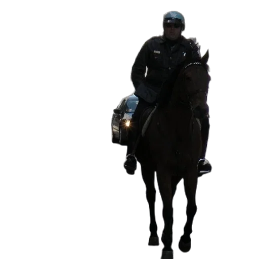 animal, staff, hat, weapon transparent PNG cut-out