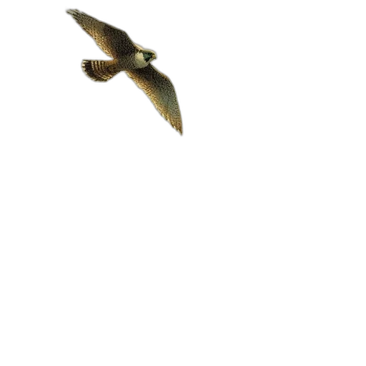 animal, staff, weapon, jewelry transparent PNG cut-out