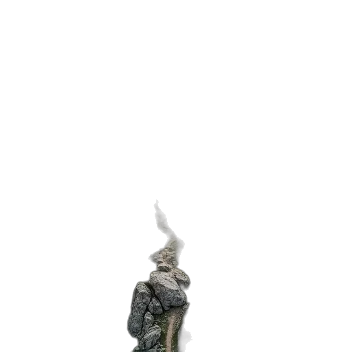 dragon, staff, animal, creature transparent PNG cut-out