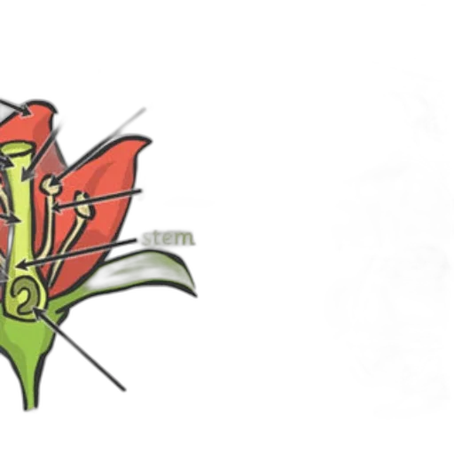 flower, crown, staff, concept art transparent PNG cut-out