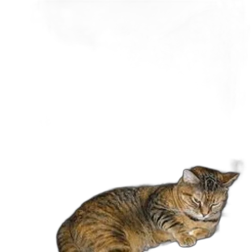 animal, staff, creature, furniture transparent PNG cut-out