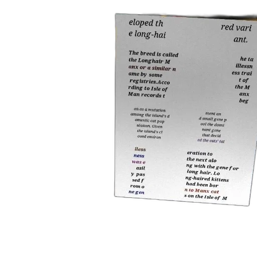 sword, food, jewelry, text-based transparent PNG cut-out