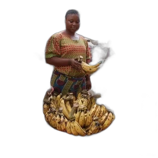food, animal, staff, weapon transparent PNG cut-out