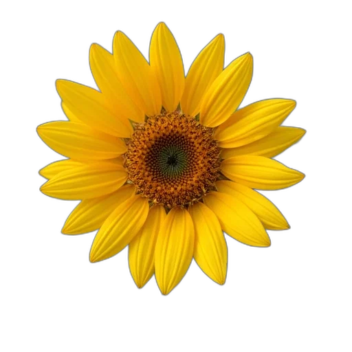 flower, crown, jewelry, staff transparent PNG cut-out