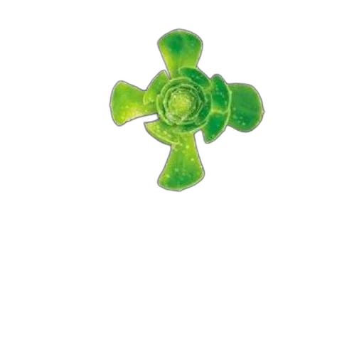 jewelry, flower, staff, weapon transparent PNG cut-out
