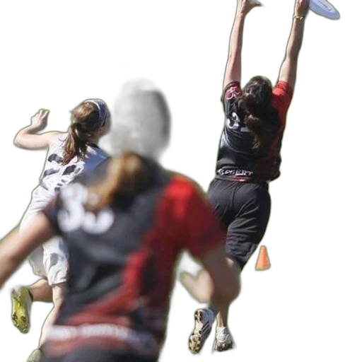 group, people, playing, frisbee transparent PNG cut-out