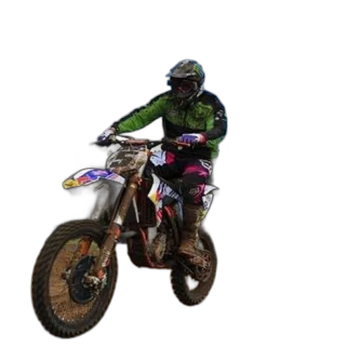 animal, jacket, 3d render, photorealistic transparent PNG cut-out
