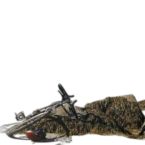 weapon, animal, jacket, sword transparent PNG cut-out