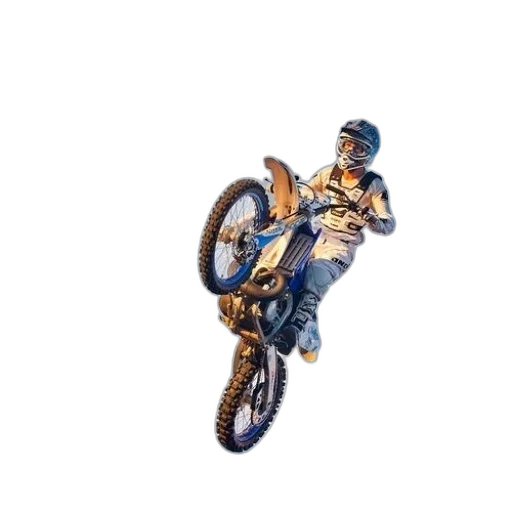 animal, weapon, creature, jacket transparent PNG cut-out