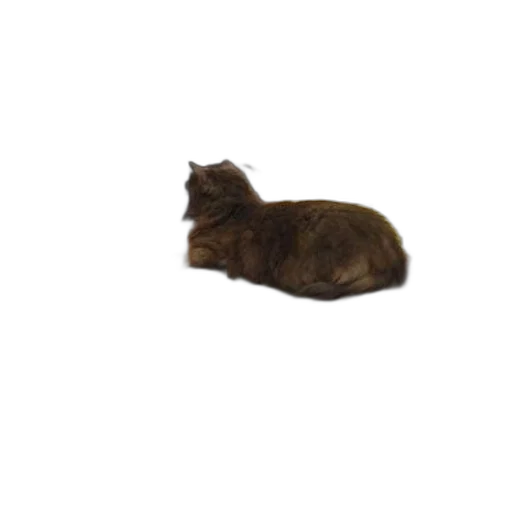 animal, creature, staff, furniture transparent PNG cut-out