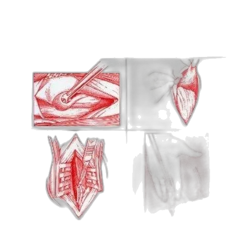 shoes, mask, dress, jewelry transparent PNG cut-out