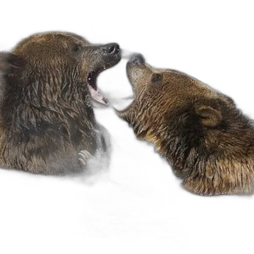 animal, food, photorealistic, snow transparent PNG cut-out