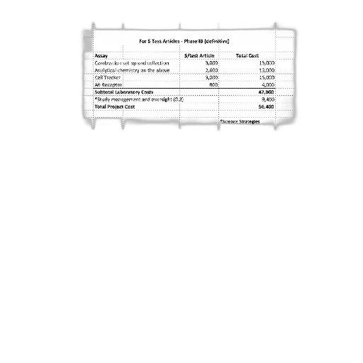 document, titled, budget, details transparent PNG cut-out