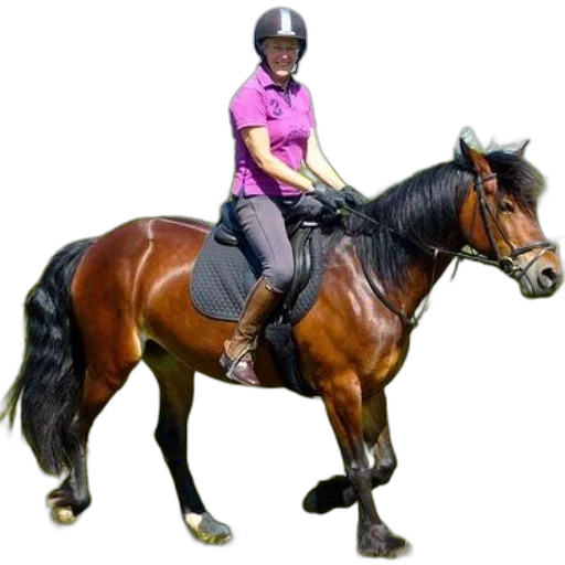 jacket, animal, hat, staff transparent PNG cut-out