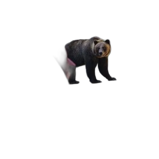 animal, creature, jacket, staff transparent PNG cut-out