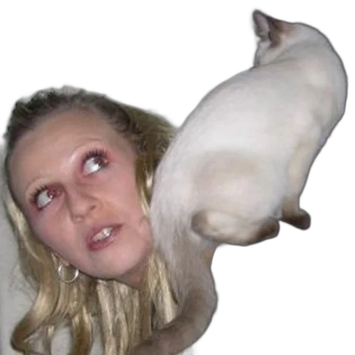 creature, animal, face, staff transparent PNG cut-out