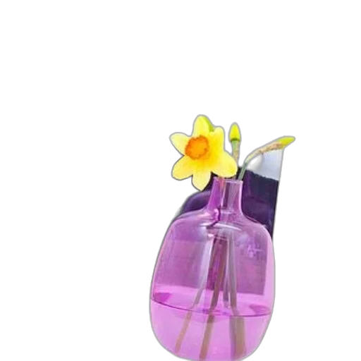 bottle, flower, dress, jewelry transparent PNG cut-out