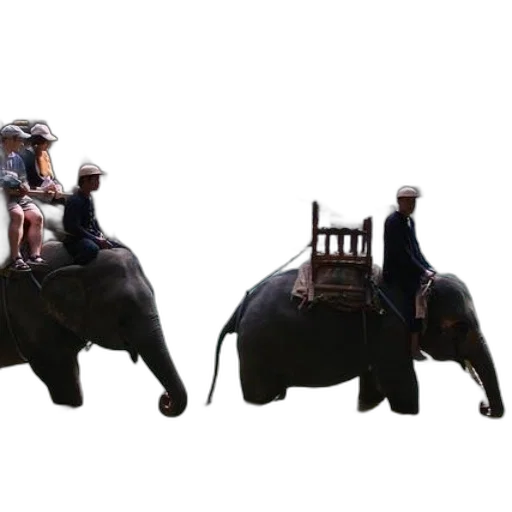 animal, concept art, 3d render, photorealistic transparent PNG cut-out