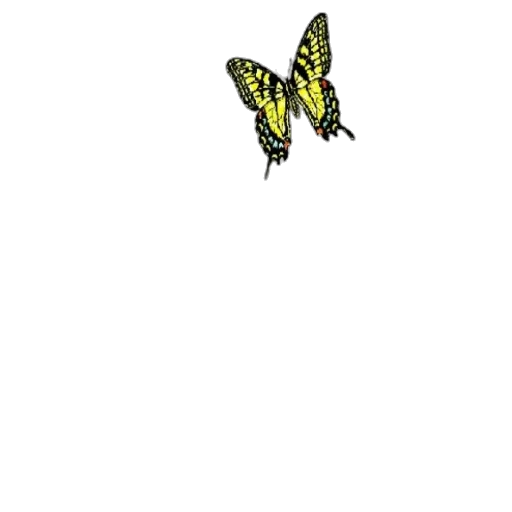 animal, creature, dragon, flower transparent PNG cut-out