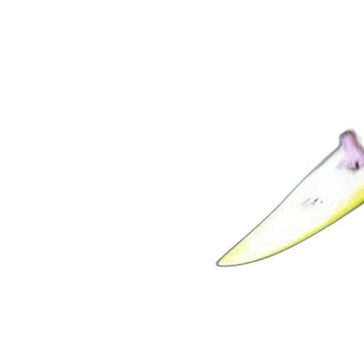 weapon, sword, flower, staff transparent PNG cut-out