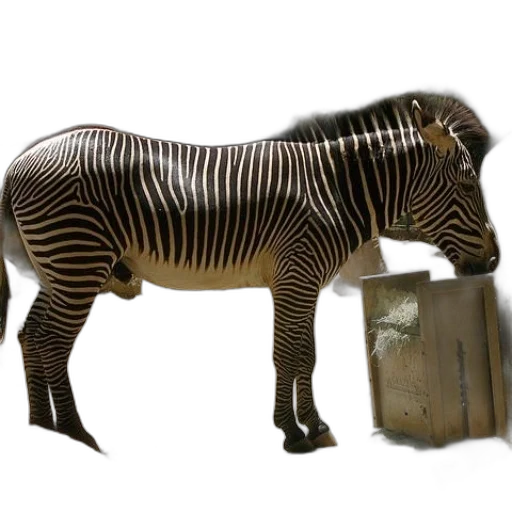 animal, furniture, creature, 3d render transparent PNG cut-out