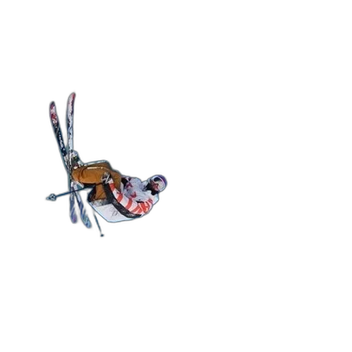 animal, dragon, creature, robot transparent PNG cut-out