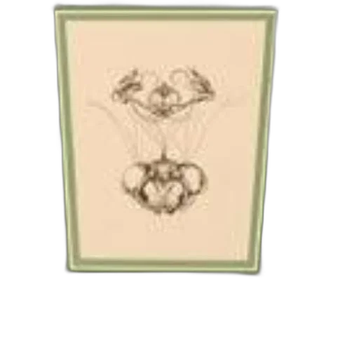 flower, jewelry, crown, jacket transparent PNG cut-out
