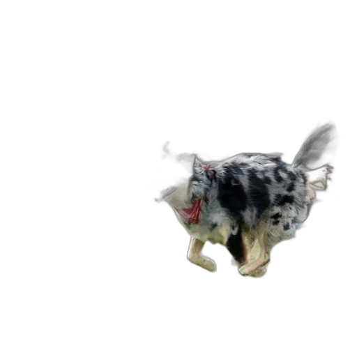 animal, creature, dragon, robot transparent PNG cut-out