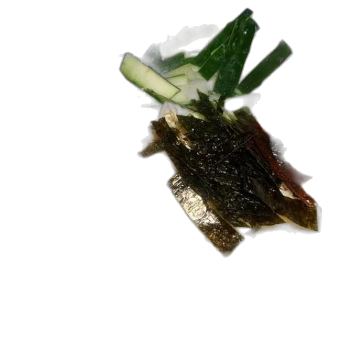 food, staff, crown, dragon transparent PNG cut-out