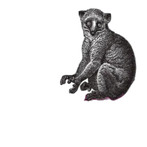 animal, creature, staff, jewelry transparent PNG cut-out