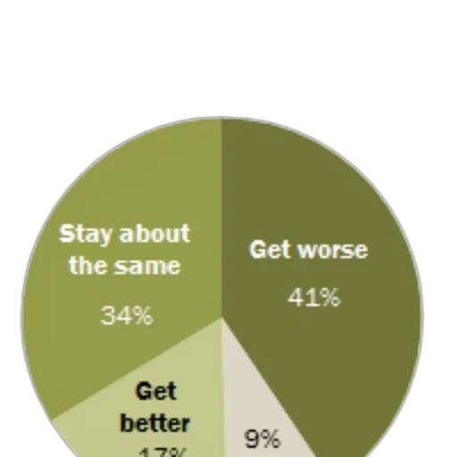 pie, chart, showing, opinions transparent PNG cut-out