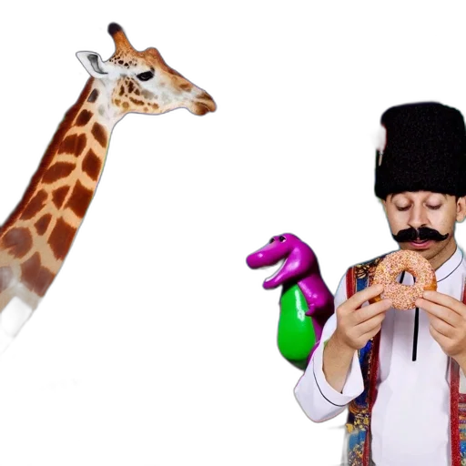 animal, staff, hat, weapon transparent PNG cut-out