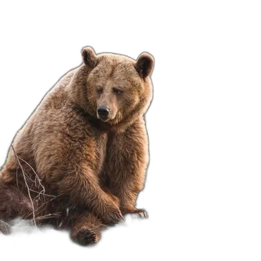 animal, creature, photorealistic, concept art transparent PNG cut-out