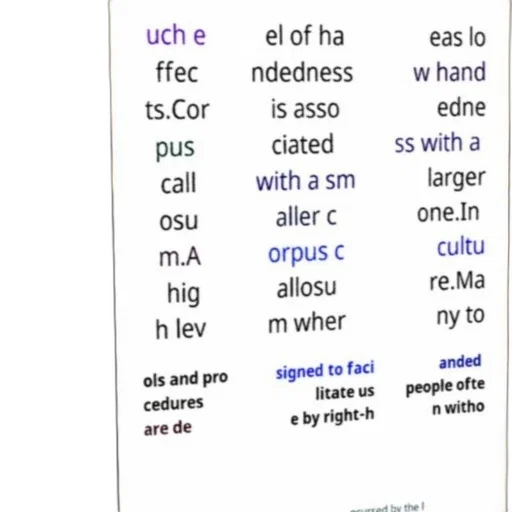 image, contains, text, discussing transparent PNG cut-out